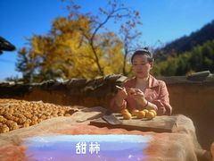 -罗田天堂寨风景区