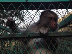 iphone_upload_pic-藏龙百瀑风景区