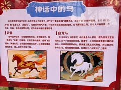 -无锡动物园·太湖欢乐园