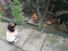 -老头儿油爆虾·知味杭州(爱琴海购物中心)