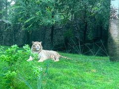 -北京野生动物园