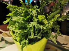 茼蒿-花田煮鲜牛肉火锅(钟楼众汇店)