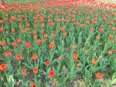 -长春公园(普阳街道)