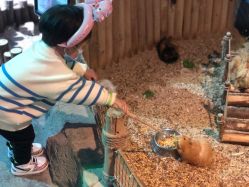 -酷嗒动物文化乐园(cutezoo西溪乐天城店)