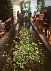 -悦诗风吟innisfree