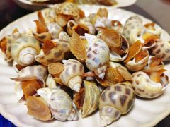 -天鹅到家·保姆月嫂育儿嫂(天河店)