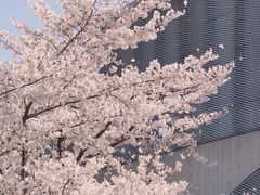 -龙美术馆(西岸馆)