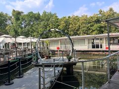 -芭厘·农庄老字号.电饭煲五指毛桃焗鸡