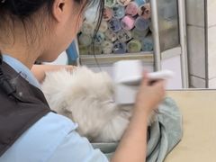 -瑞鹏瑞爱宠物医院·全科·猫科·血液透析中心(龙头寺店)