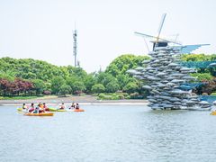 -上海鲜花港