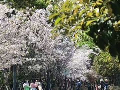 -浦江二号·独栋江景餐厅(滨江大道店)