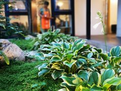 -往来·竹里.宝宝宴.生日宴.团建.宴席(花乡农居店)