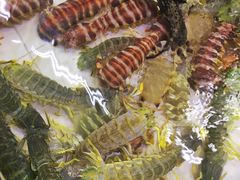 -鲤鱼门海鲜街