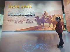 -包头博物馆