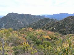 -大岭沟猕猴桃谷风景区