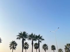 -宝安西湾红树林湿地公园