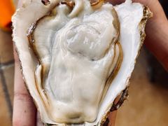 -冯姐生蚝(长隆横琴店)