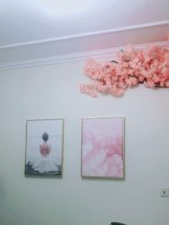 -VE专注问题肌·赛诺龙&科学美肤中心