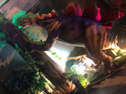 -恐龙探索乐园(磁器口店)