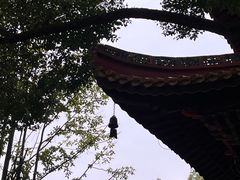 -南岳衡山风景名胜区-南岳大庙