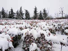 -洨河生态公园