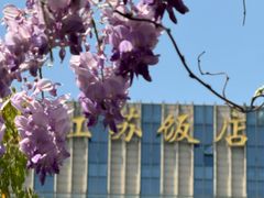-郑和公园