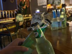 -故遥酒馆.赛事直播