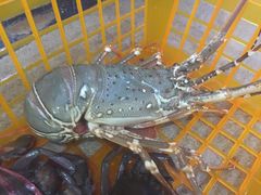 -班赞海鲜市场