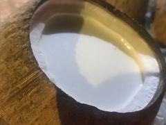 -椰爺爺·椰子冻砵仔糕