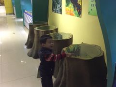 -上海昆虫博物馆