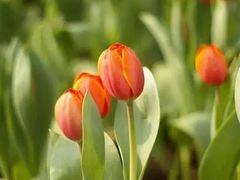 -白沙门生态公园