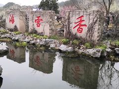 -香雪海