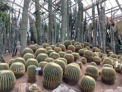 -南山植物园