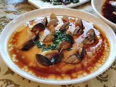 -中国饭店-餐厅