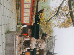 -峨眉山报国寺
