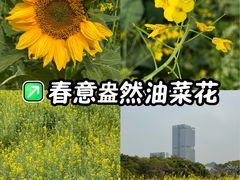 -光明小镇欢乐田园