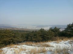 -高尔山公园