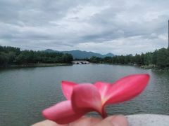 -飞来湖湿地公园