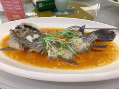 -骏莱海鲜鱼港(五角场店)