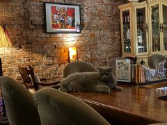 -OX BAR 拉培耶小镇(大连老街店)