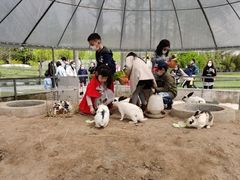 -前小桔亲子创意农场·草莓采摘·露营烧烤