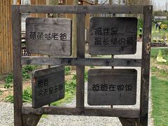 -前小桔亲子创意农场·草莓采摘·露营烧烤