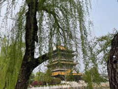 -台儿庄古城