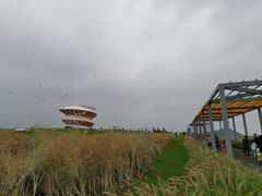 -光明小镇欢乐田园