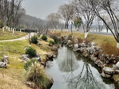-羊山湖公园