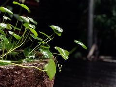 -梵几(东信·和创园店)