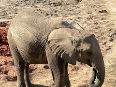 -哈尔滨北方森林动物园