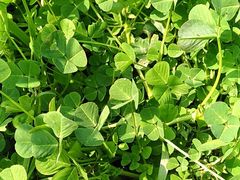 -南通博物苑-崇川人民公园