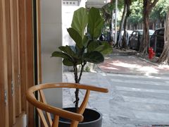-Oasis coffee燕谷咖啡(公信店)