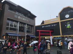 -富士山吉田線五合目
